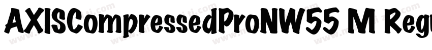 AXISCompressedProNW55 M Regular字体转换